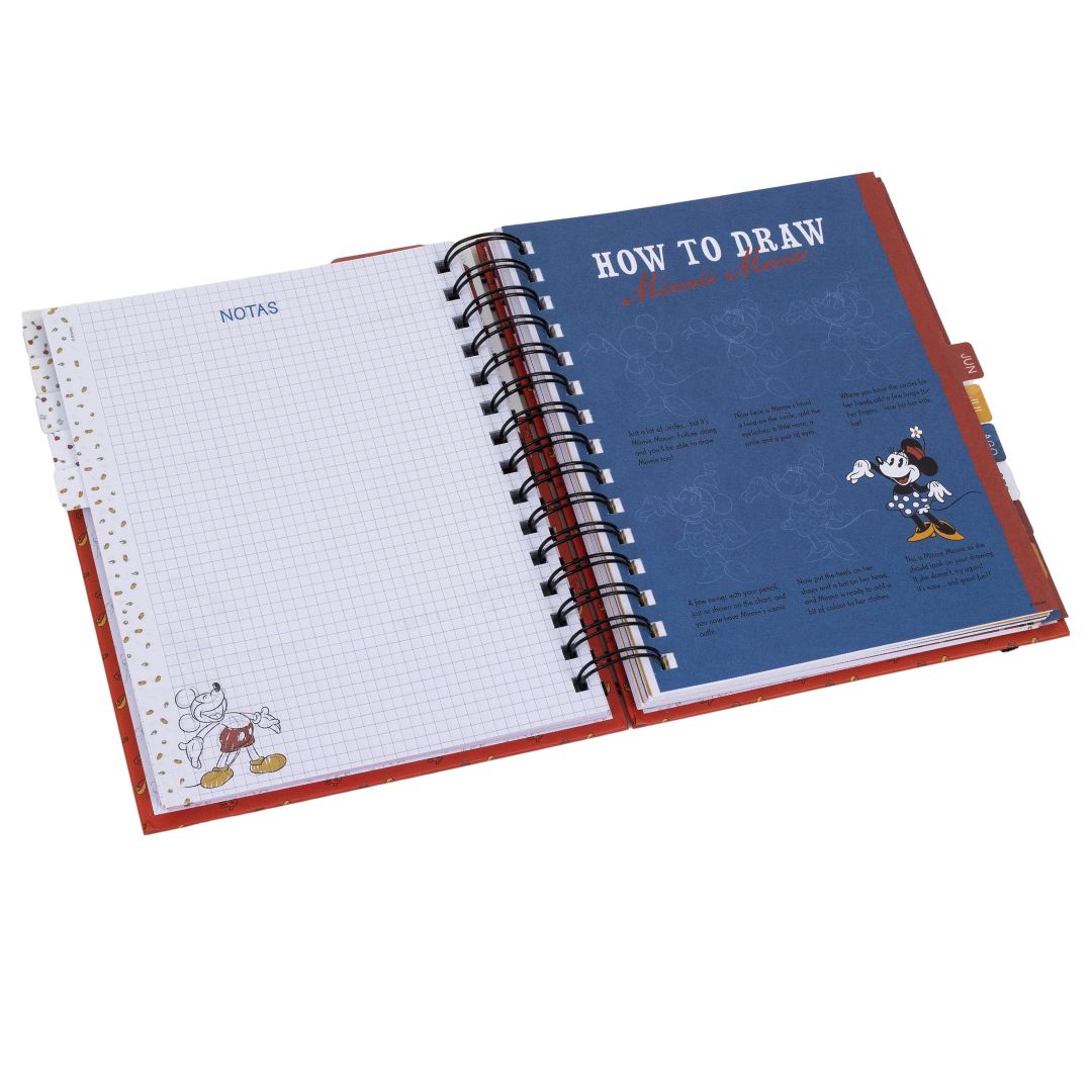 AGENDA MINNIE MOUSE